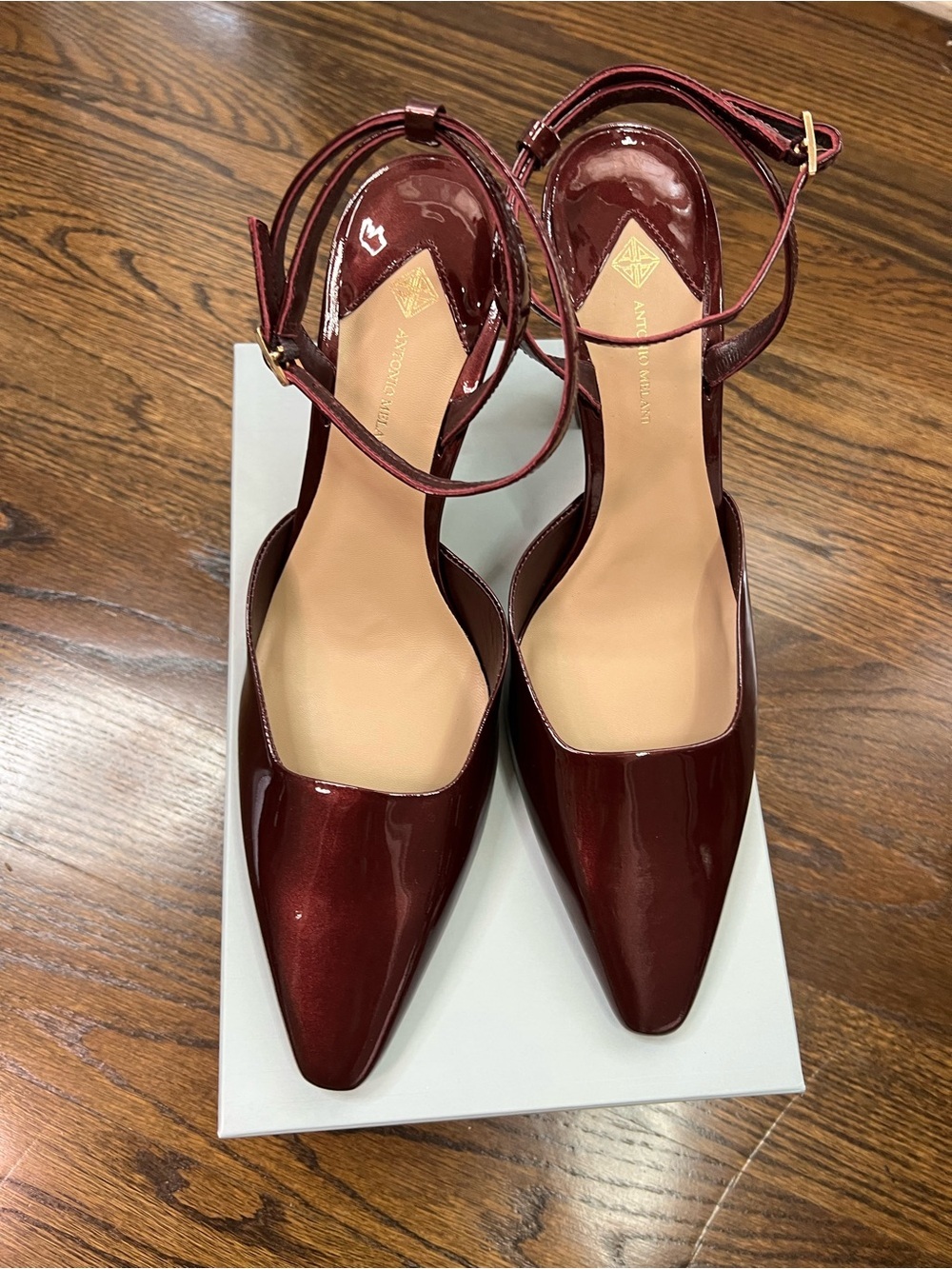 Antonio Melani Burgundy Patent Pointed-Toe Ankle-Strap Heels